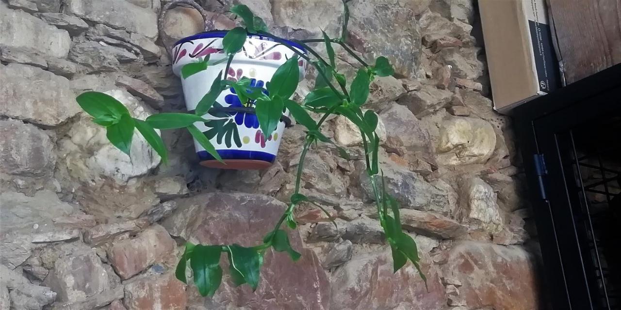 Casa Rural Abuela Maxi Ríolobos Eksteriør bilde